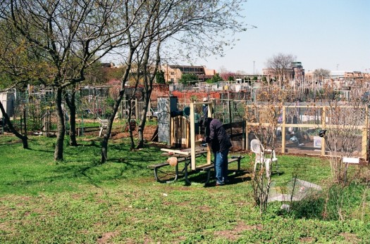 The large and open nature of the community garden space offers a range of activities