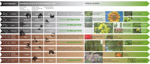A Field Guide to Phytoremediation