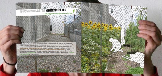 Brownfields to Greenfields | A Field Guide to Phytoremediation