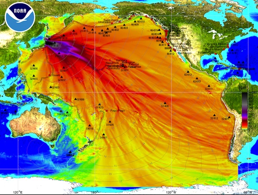 Graphic charting the amplitude of the tsunami in Japan | via NOAA