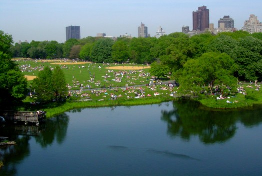 Central Park | Photo by Flickr user posixeleni