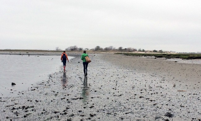 Kjirsten Alexander and Danae Alessi walk out into the bay to Little Egg marsh island during a very low tide on May 5, 2014.