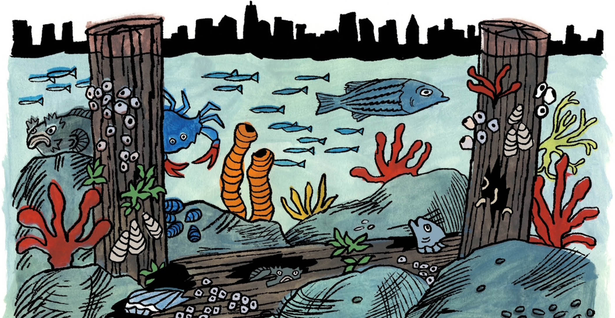 The Reefs Beneath the Piers