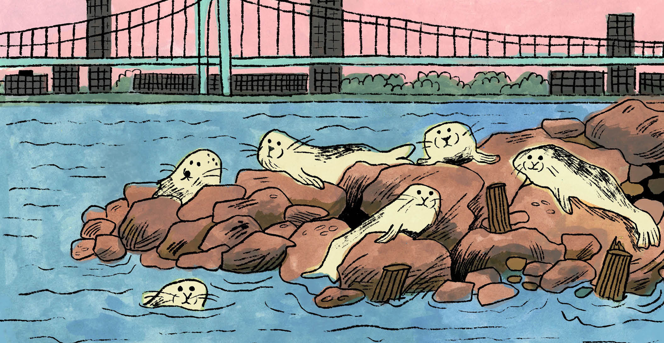 The Human Harbor